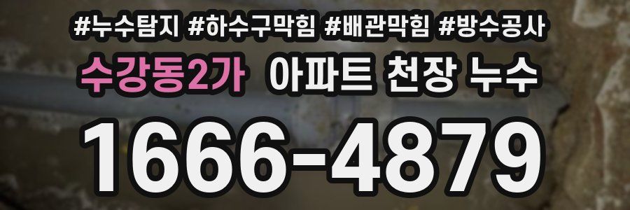 수강동2가 아파트 천장 누수