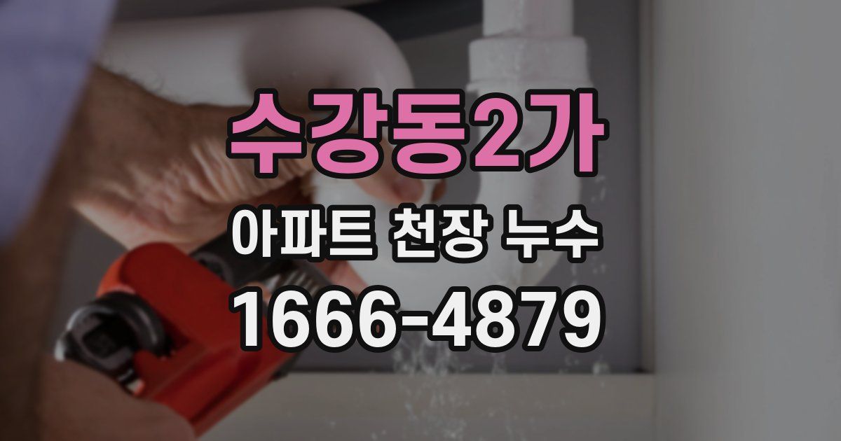 수강동2가 아파트 천장 누수