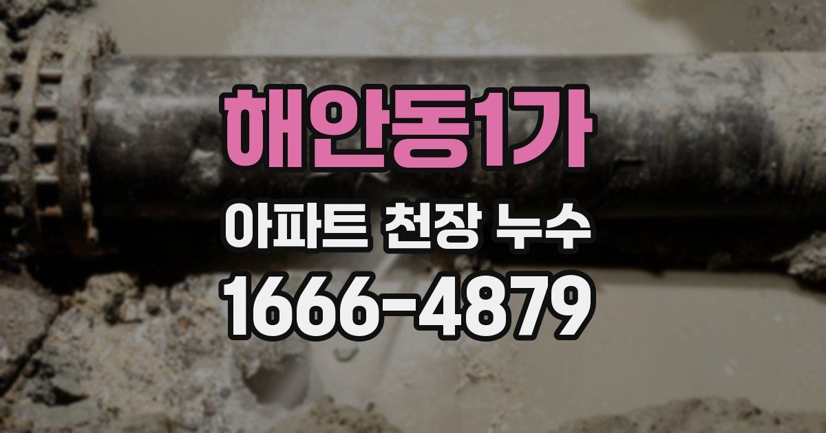 해안동1가 아파트 천장 누수