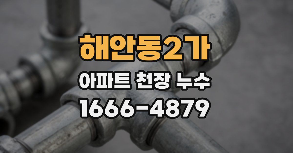 해안동2가 아파트 천장 누수