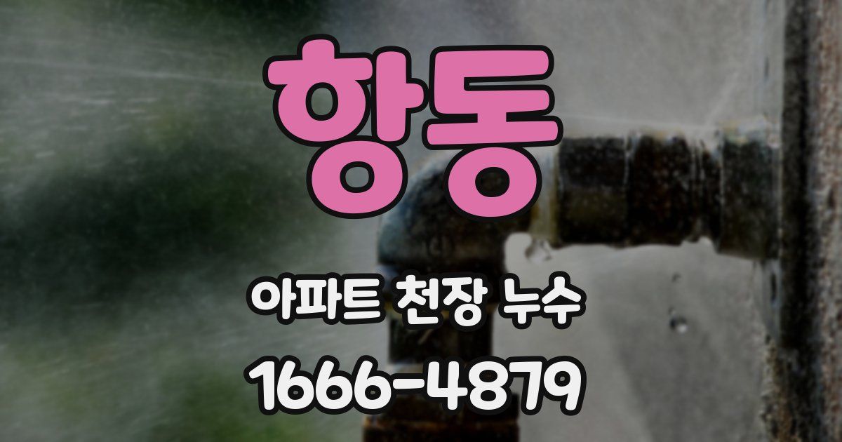 항동 아파트 천장 누수