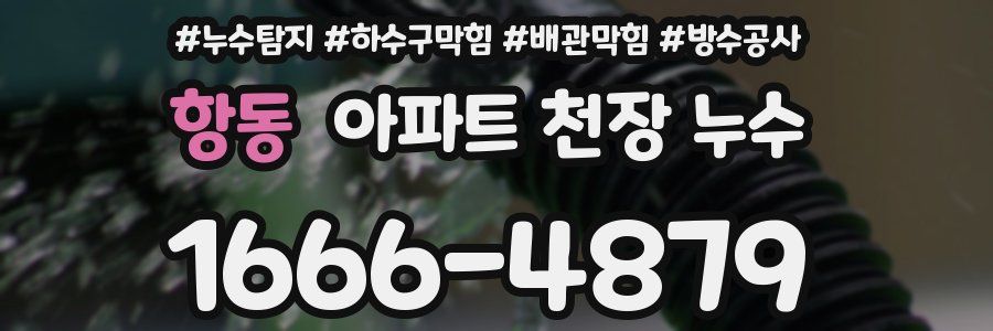 항동 아파트 천장 누수