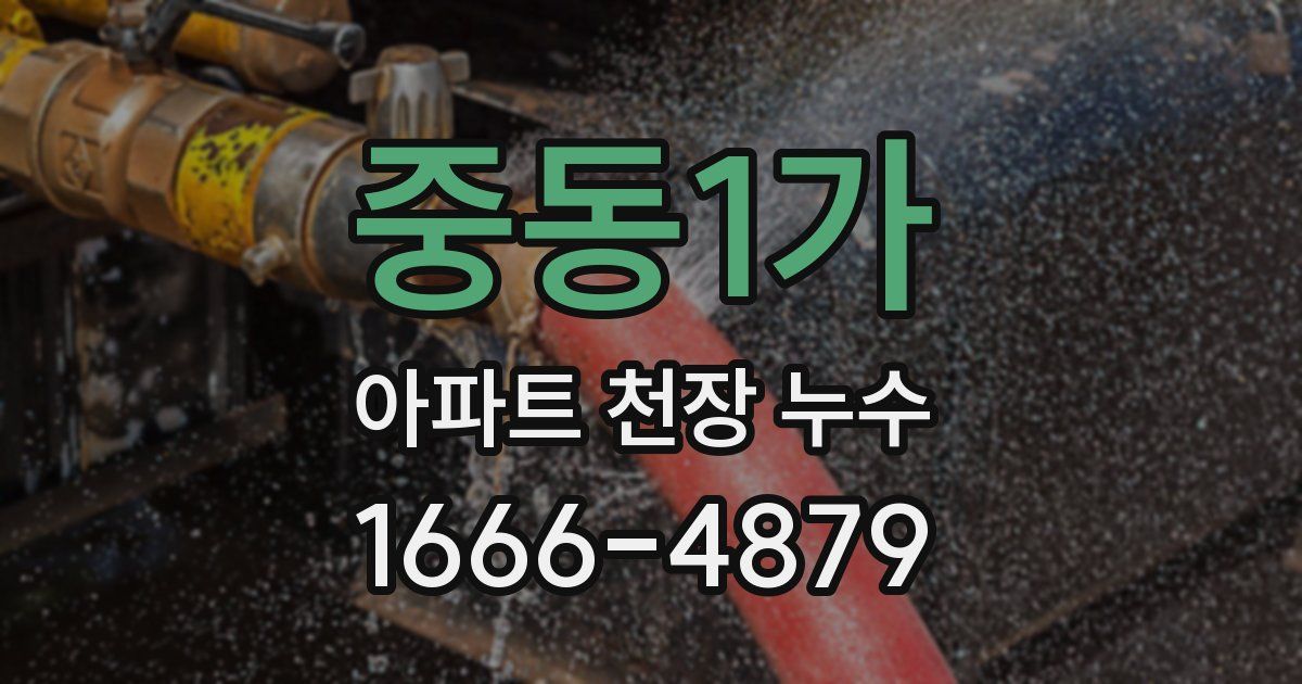 중동1가 아파트 천장 누수
