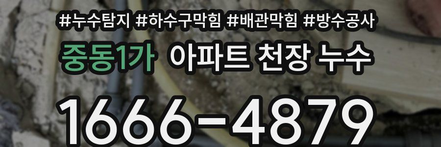 중동1가 아파트 천장 누수