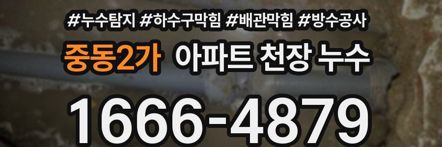 중동2가 아파트 천장 누수