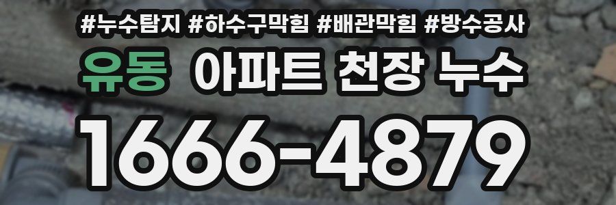 유동 아파트 천장 누수