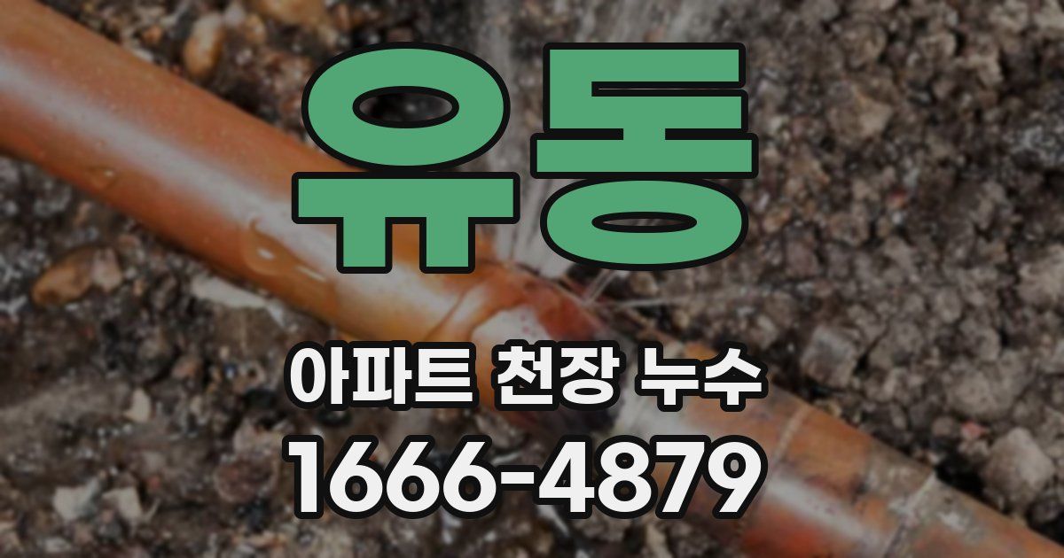 유동 아파트 천장 누수