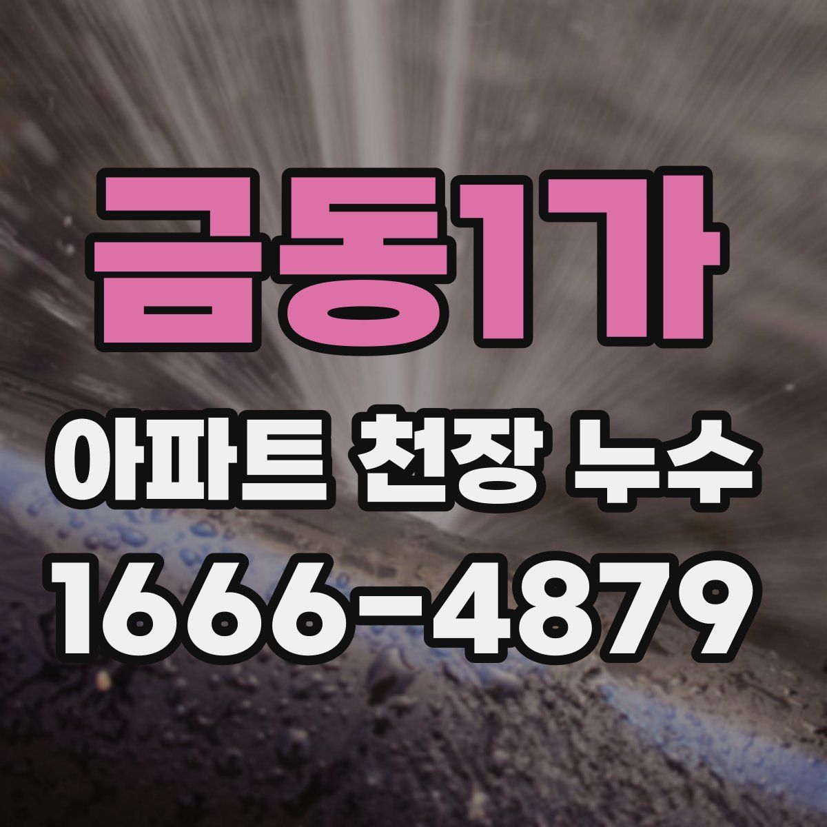 금동1가 아파트 천장 누수