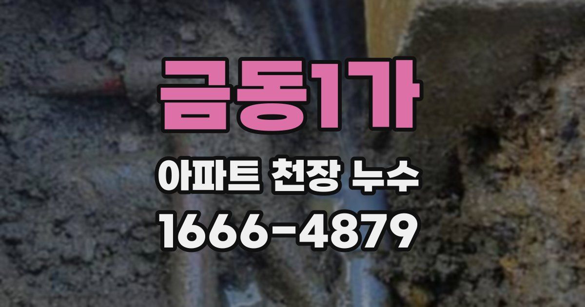 금동1가 아파트 천장 누수