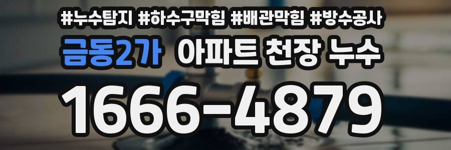 금동2가 아파트 천장 누수