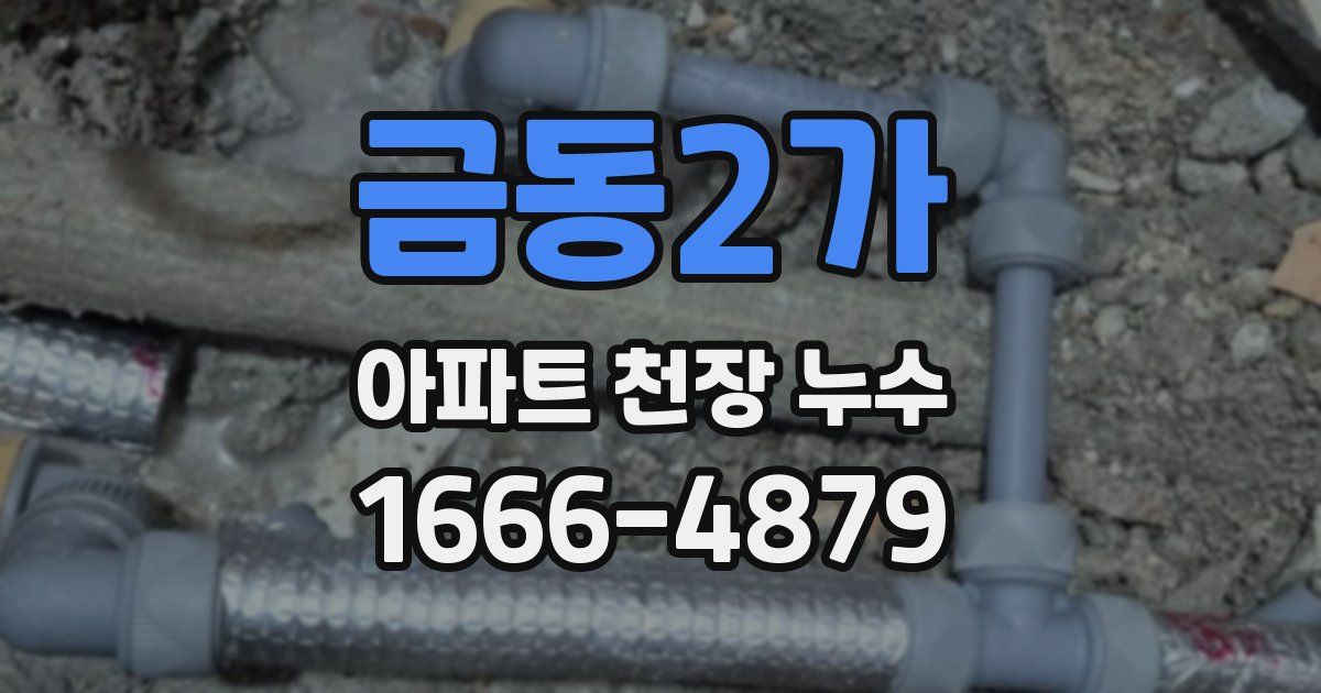 금동2가 아파트 천장 누수