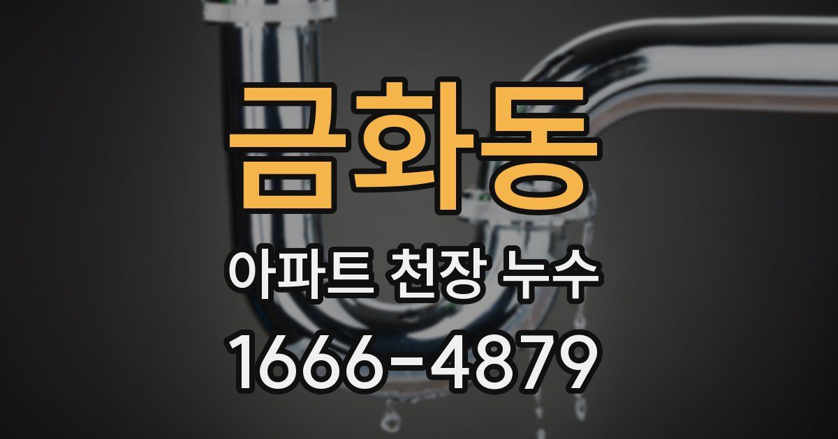 금화동 아파트 천장 누수