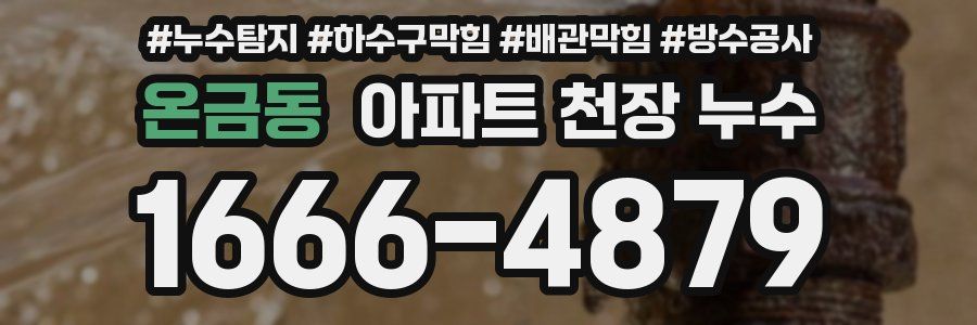 온금동 아파트 천장 누수