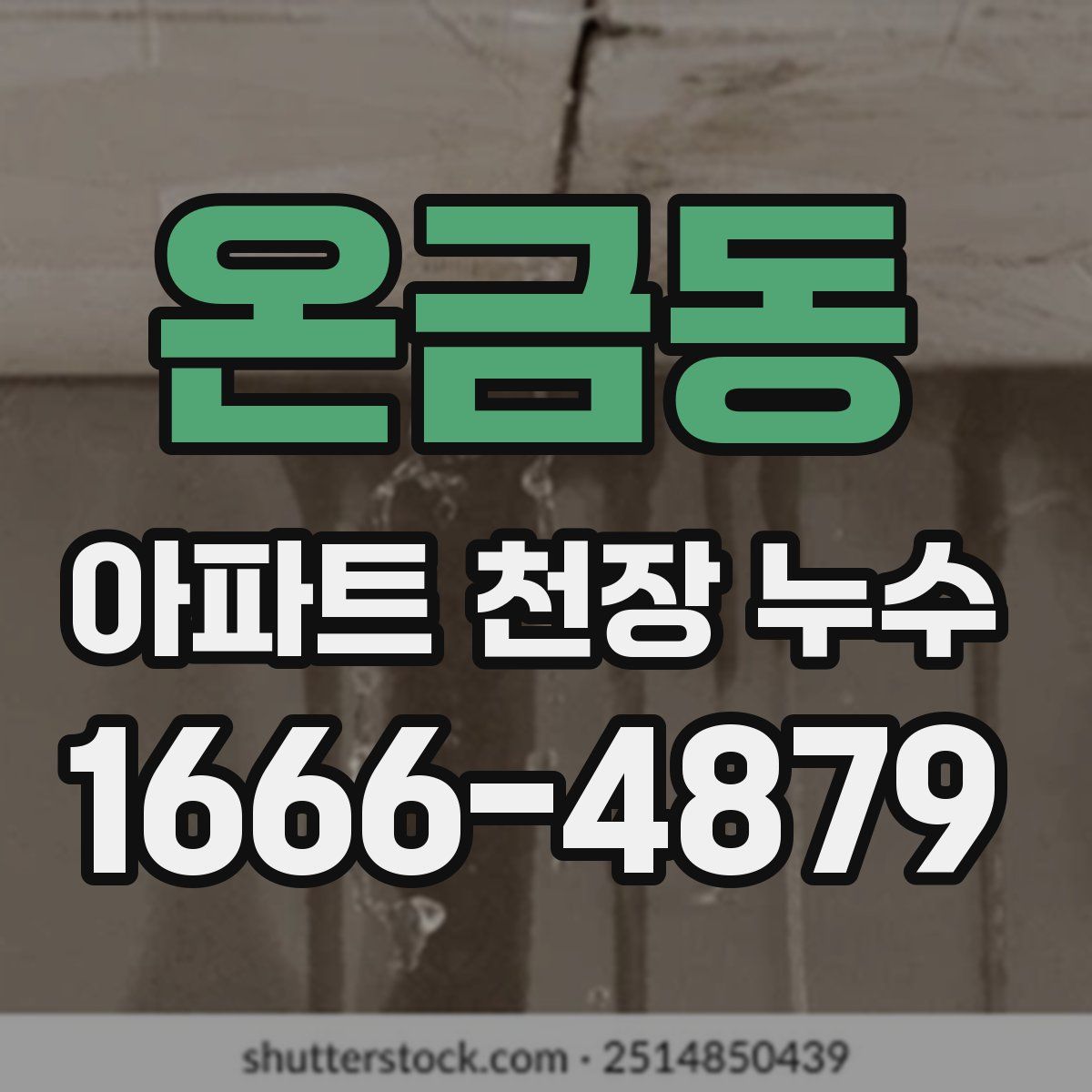 온금동 아파트 천장 누수