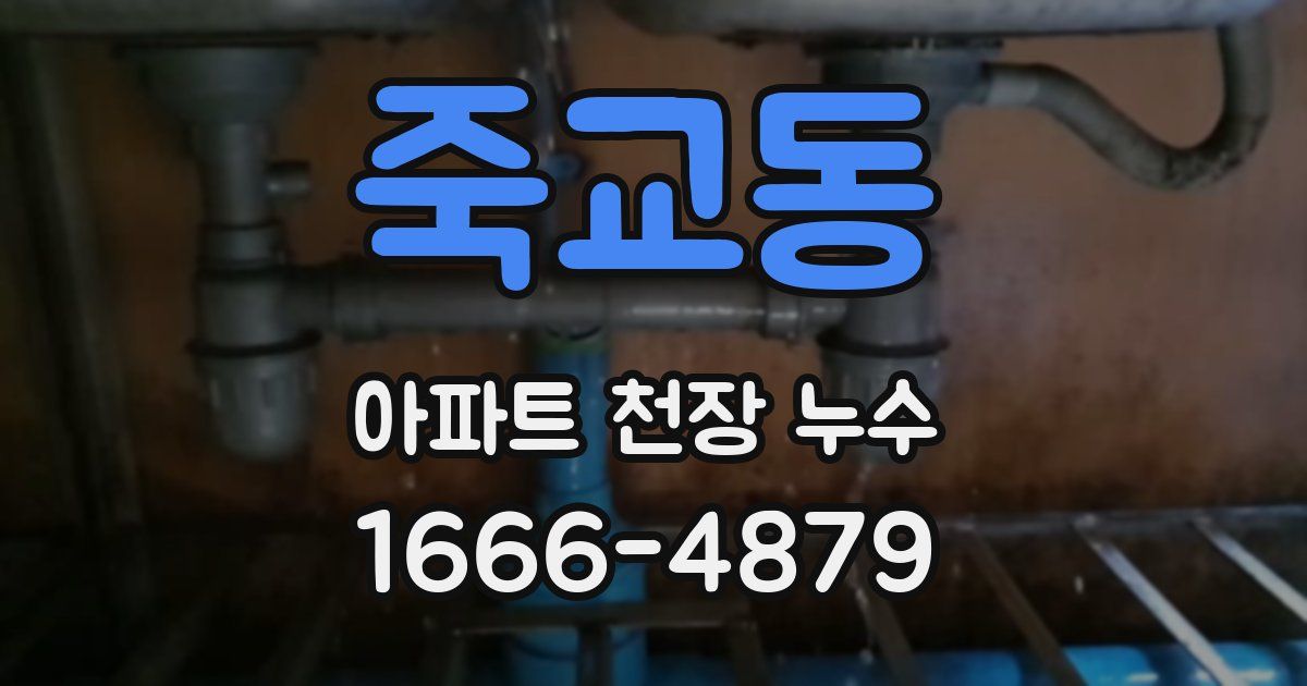 죽교동 아파트 천장 누수