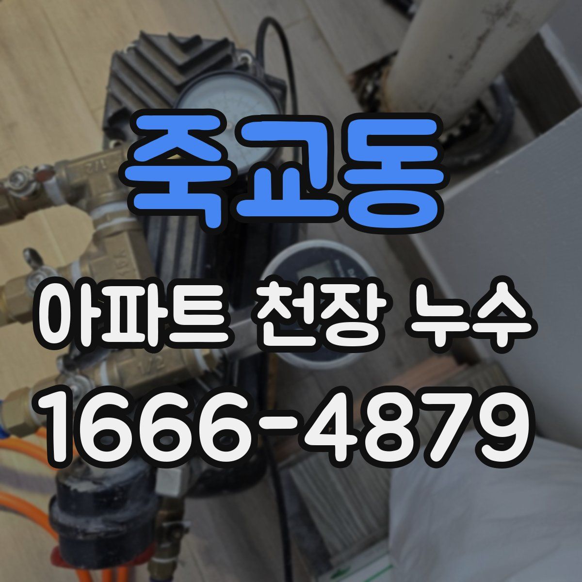 죽교동 아파트 천장 누수