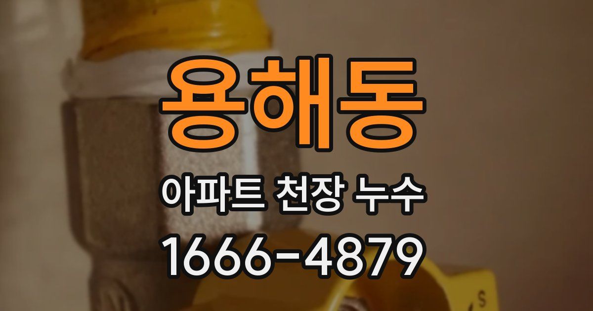 용해동 아파트 천장 누수