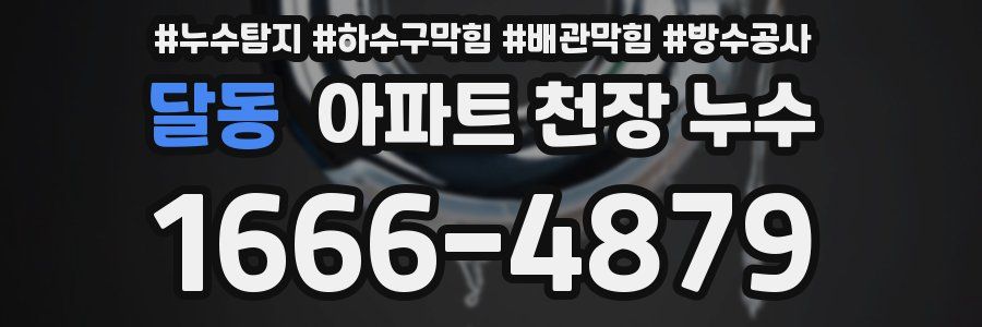 달동 아파트 천장 누수
