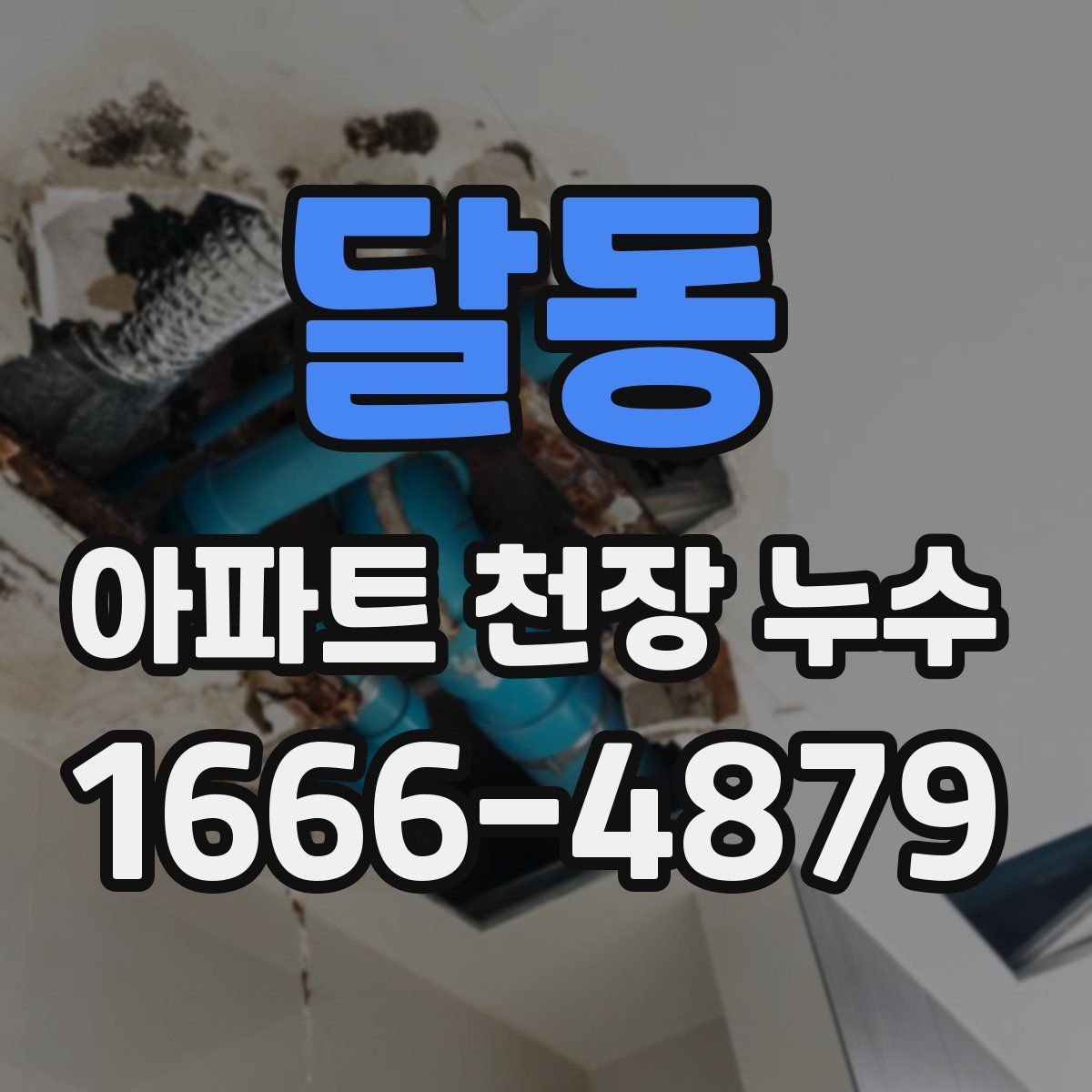 달동 아파트 천장 누수