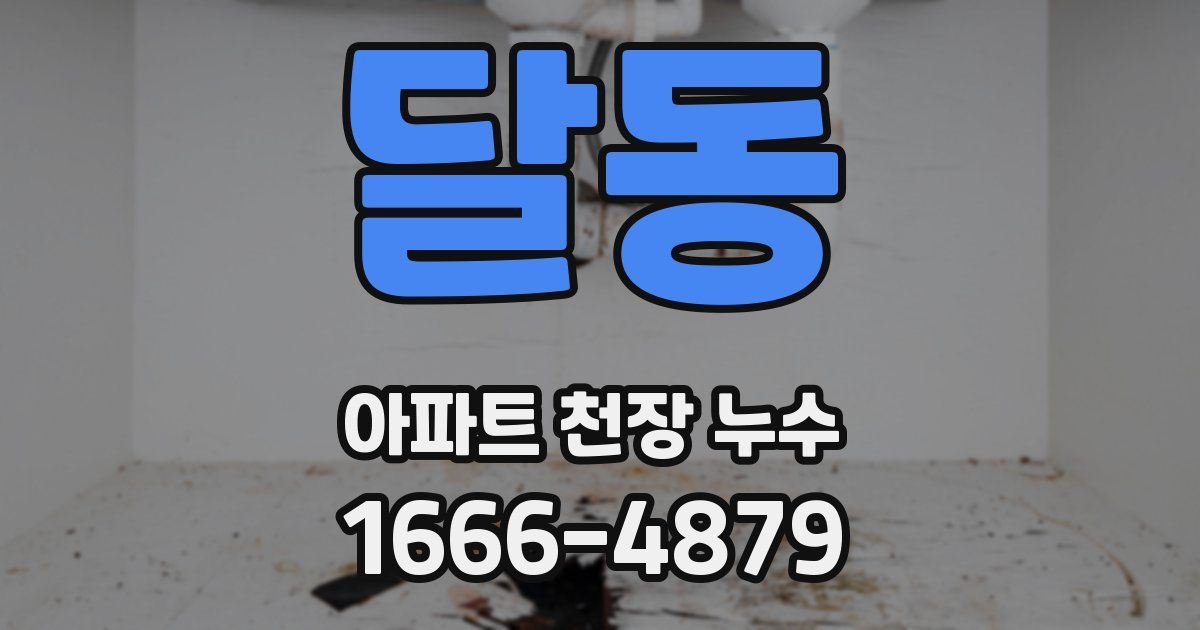 달동 아파트 천장 누수