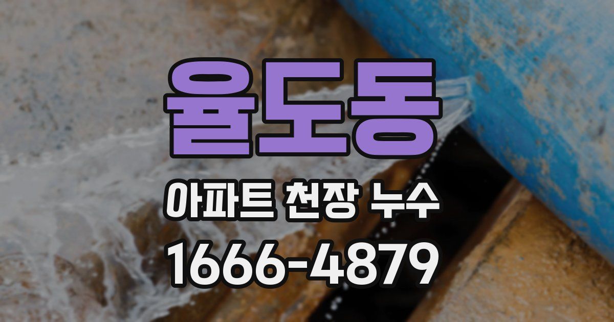 율도동 아파트 천장 누수