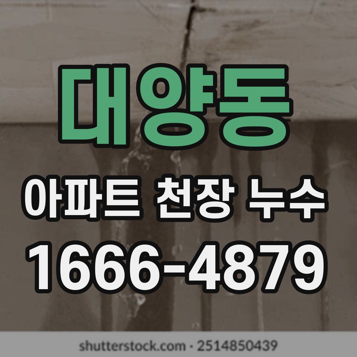 대양동 아파트 천장 누수