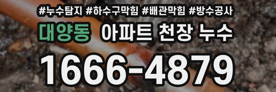 대양동 아파트 천장 누수