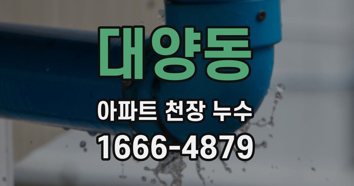 대양동 아파트 천장 누수