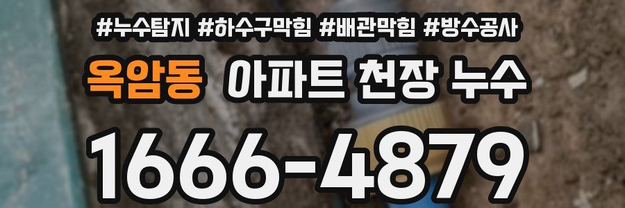 옥암동 아파트 천장 누수