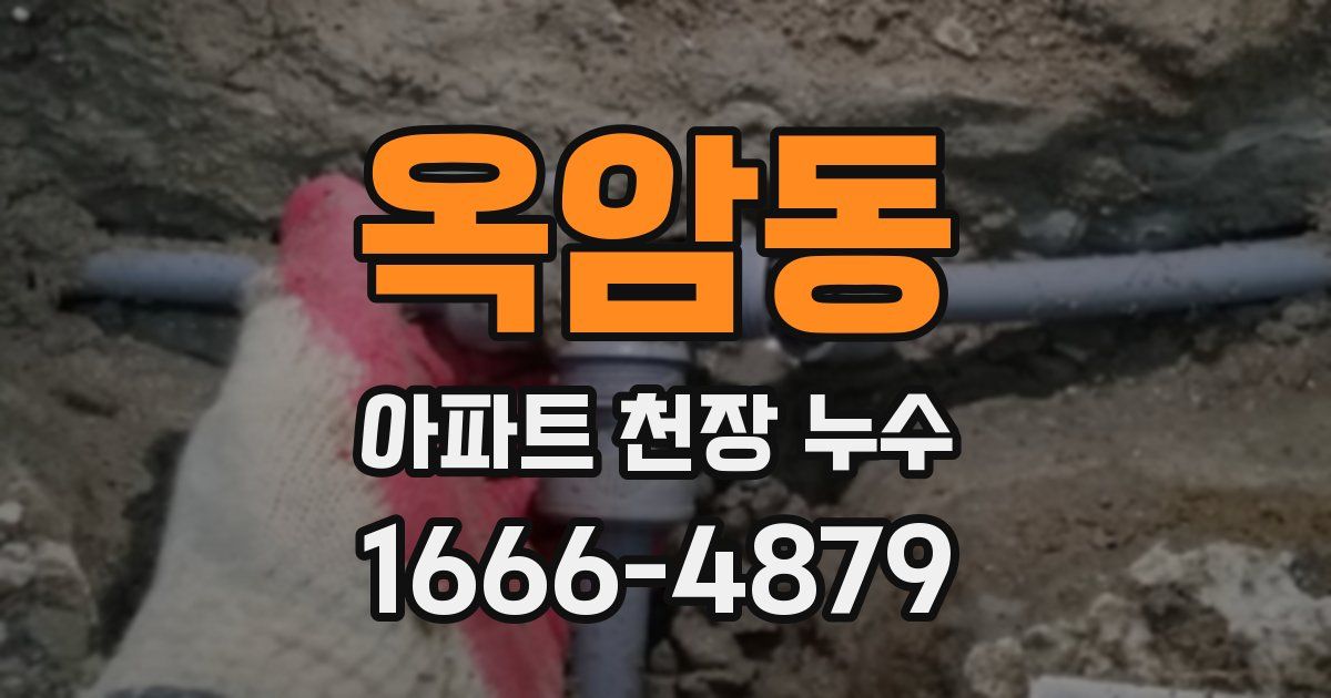 옥암동 아파트 천장 누수