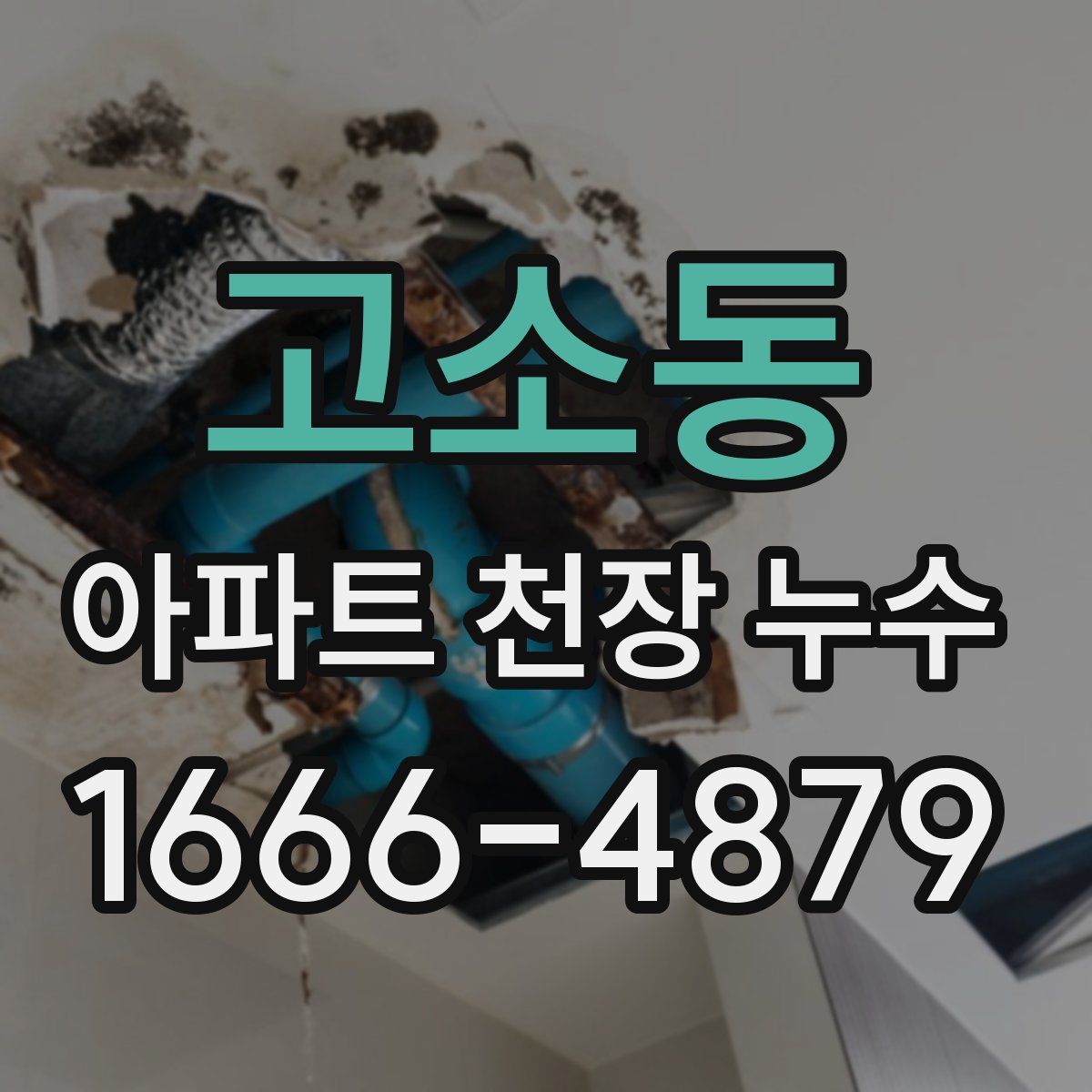 고소동 아파트 천장 누수