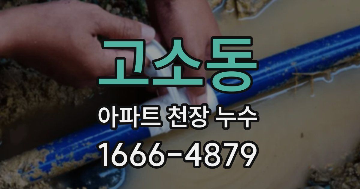 고소동 아파트 천장 누수