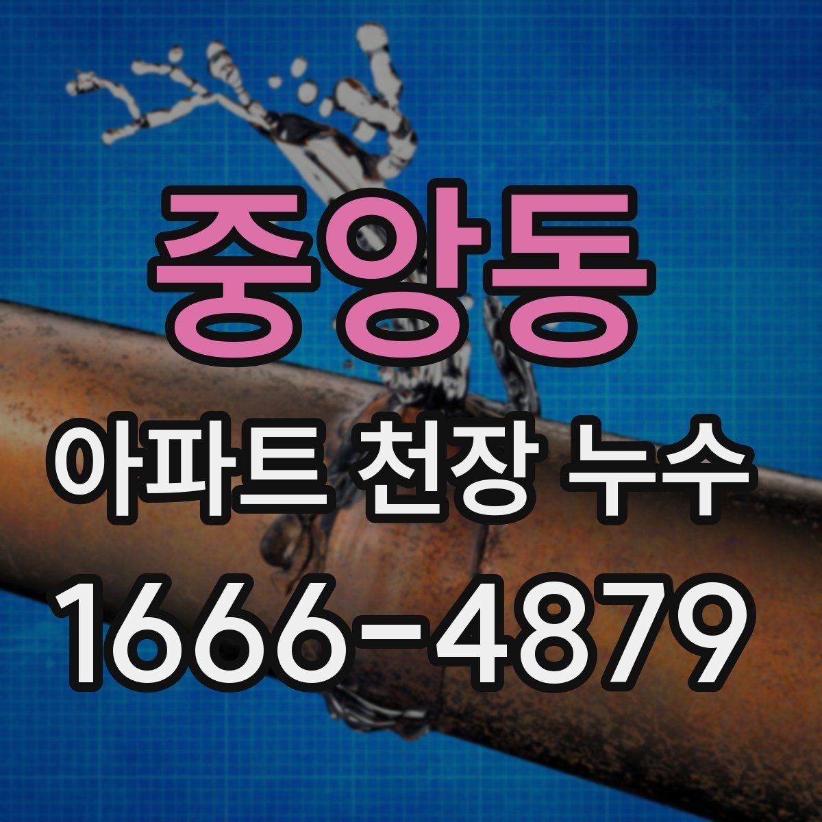 중앙동 아파트 천장 누수