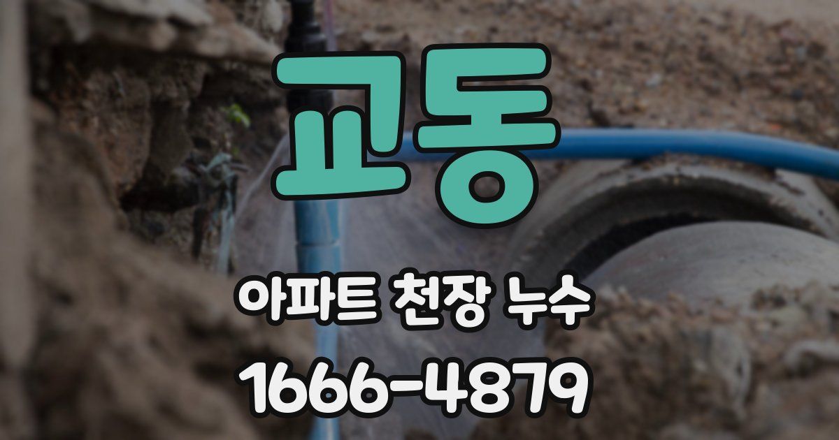 교동 아파트 천장 누수