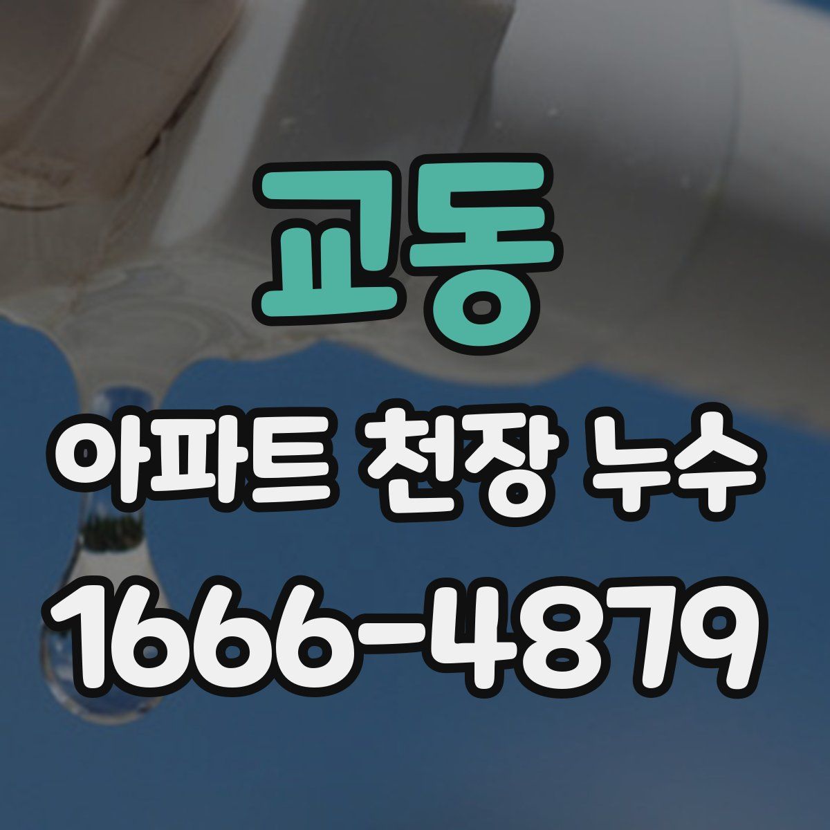 교동 아파트 천장 누수