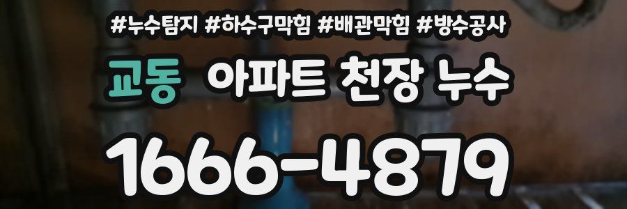 교동 아파트 천장 누수