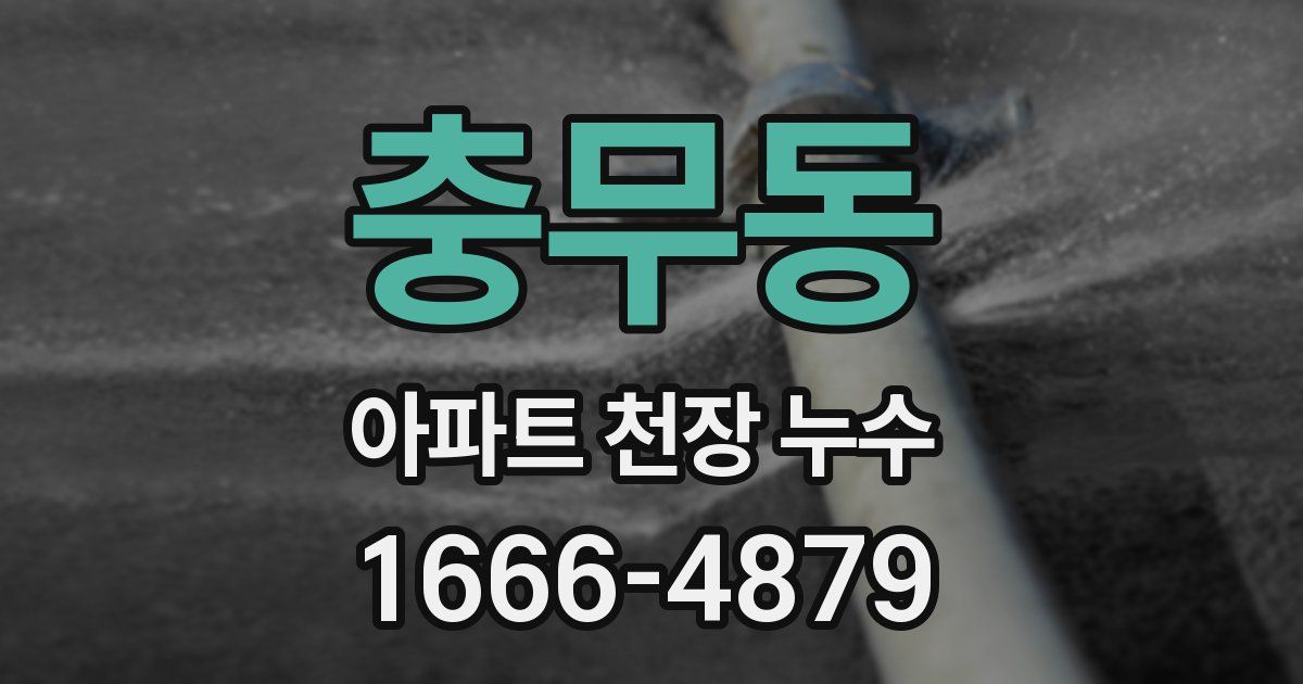충무동 아파트 천장 누수