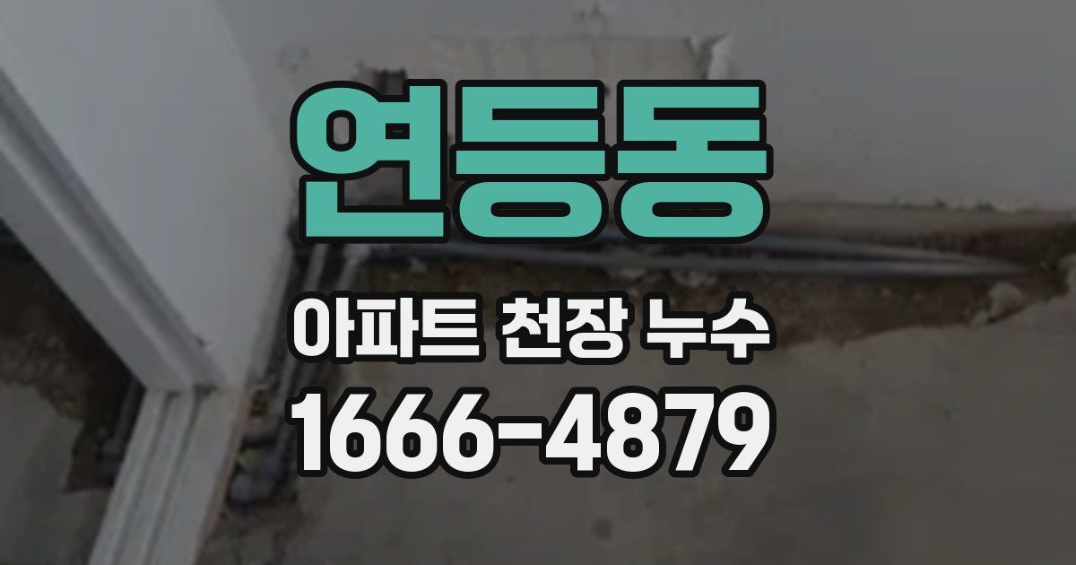 연등동 아파트 천장 누수