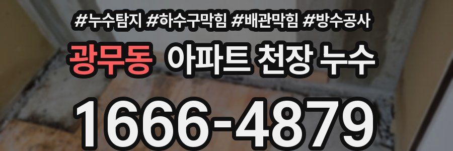 광무동 아파트 천장 누수