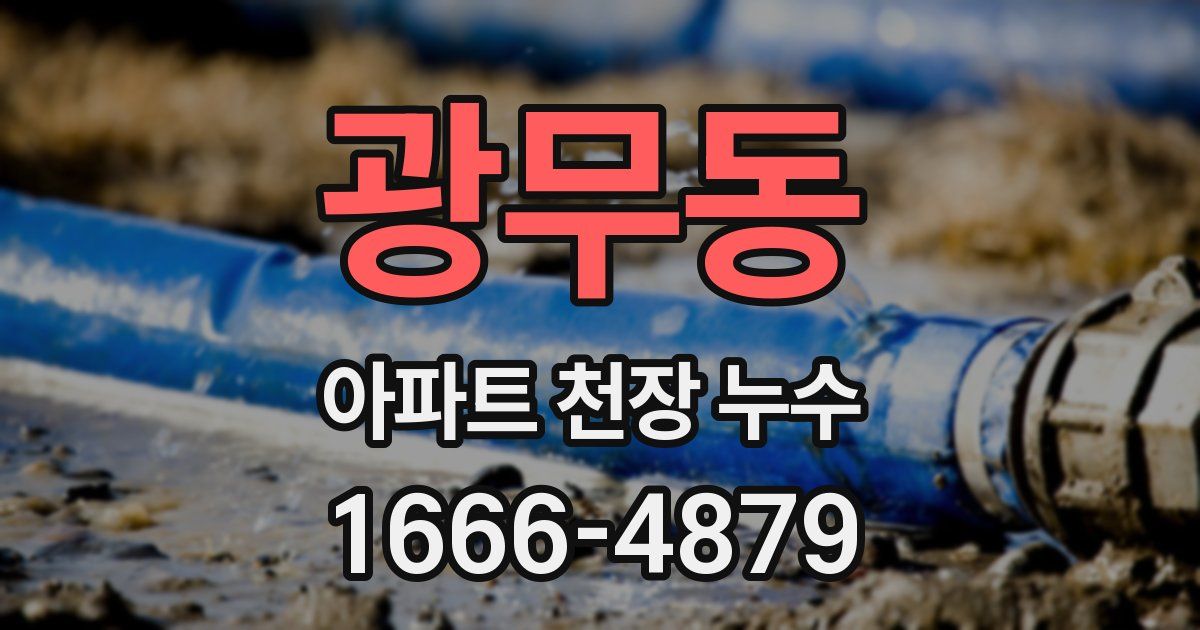 광무동 아파트 천장 누수