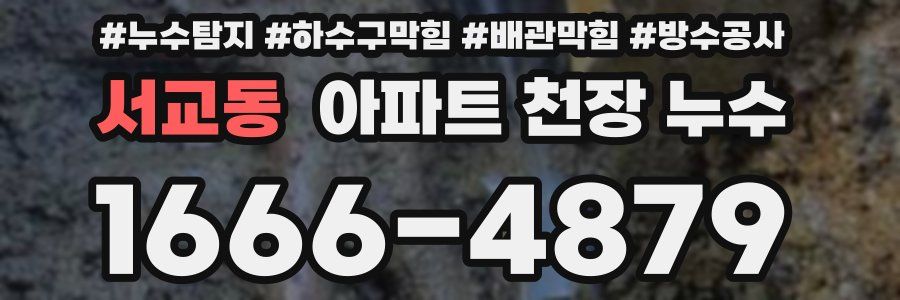 서교동 아파트 천장 누수