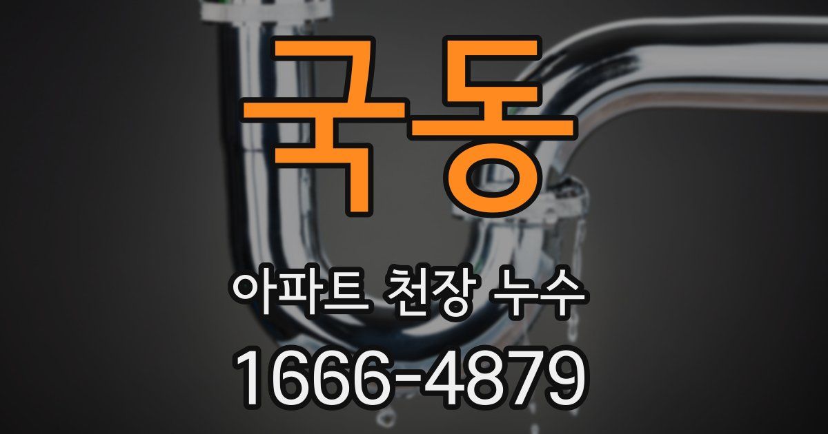 국동 아파트 천장 누수