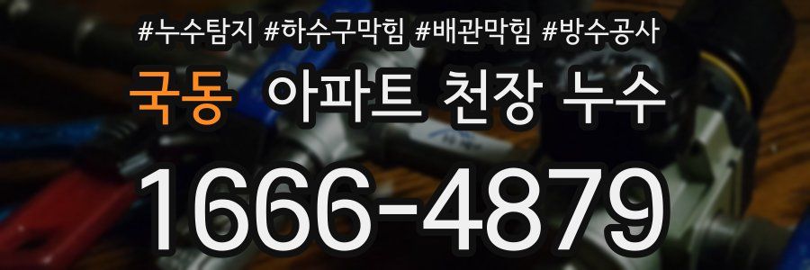 국동 아파트 천장 누수
