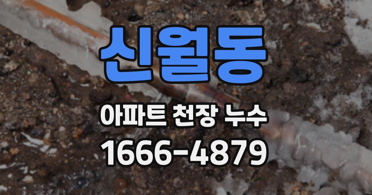 신월동 아파트 천장 누수