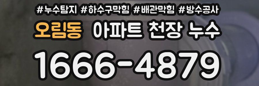오림동 아파트 천장 누수