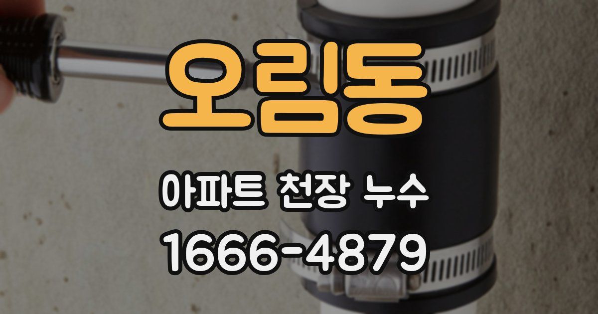 오림동 아파트 천장 누수