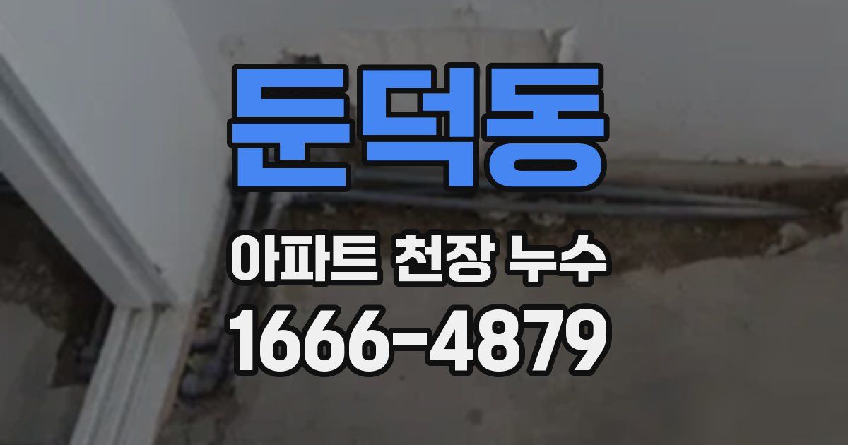 둔덕동 아파트 천장 누수