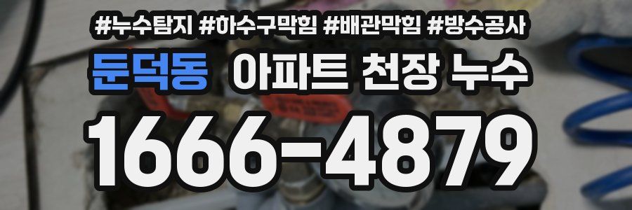 둔덕동 아파트 천장 누수