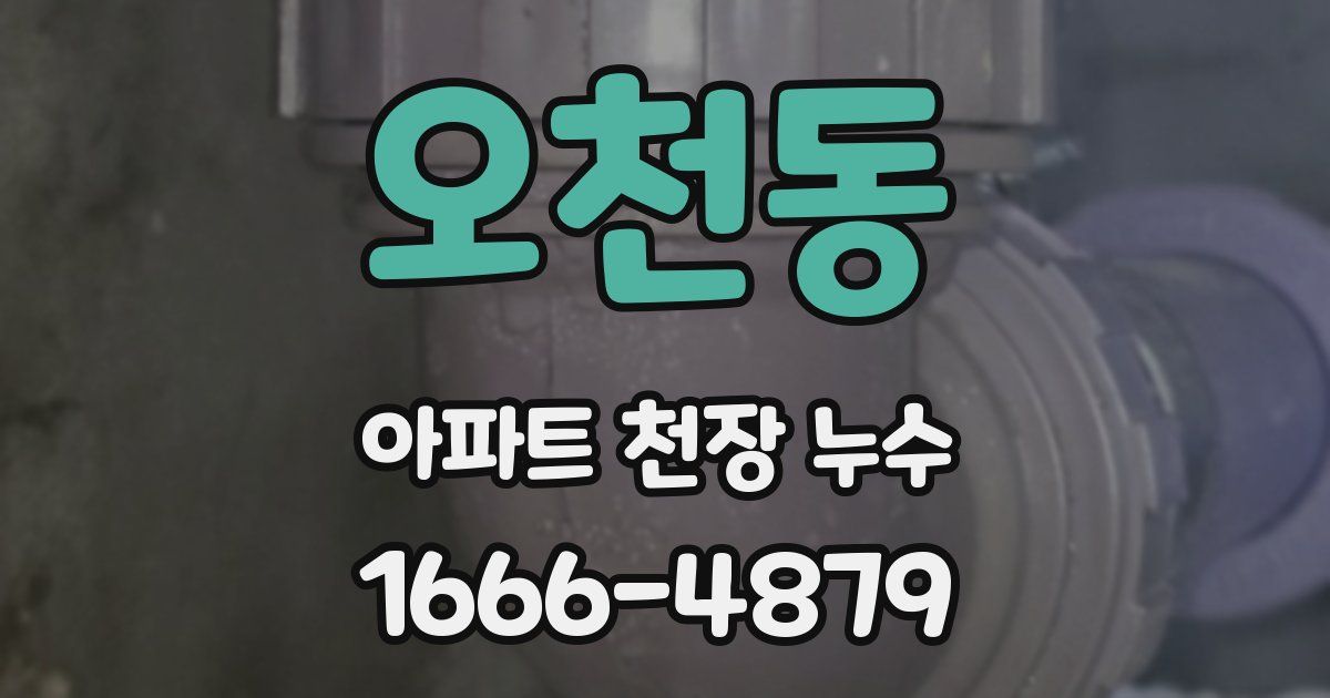 오천동 아파트 천장 누수