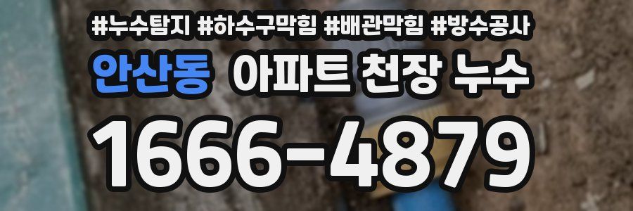 안산동 아파트 천장 누수